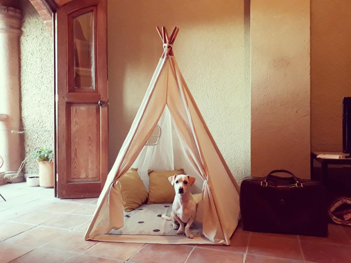 Lool Beh Hostal San Miguel de Allende Exteriör bild